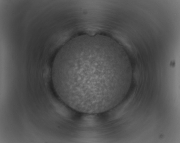 X0000094900079200712131440