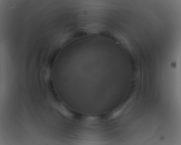 X0000094900081200712131440