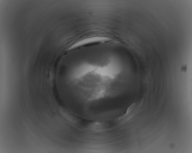 X0000094900082200712131440