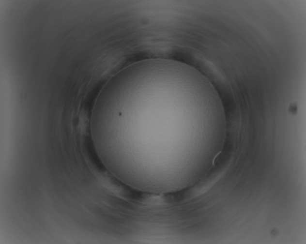 X0000094900083200712131440