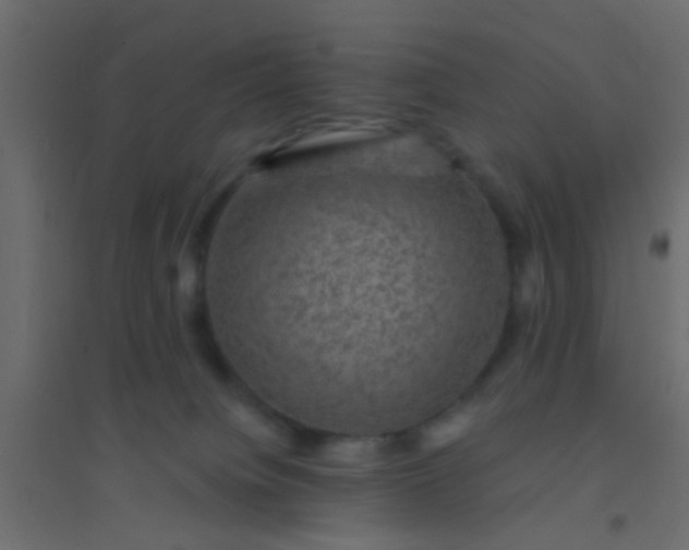 X0000094900084200712131440