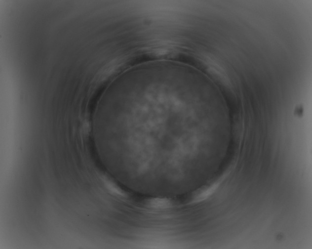 X0000094900085200712131440