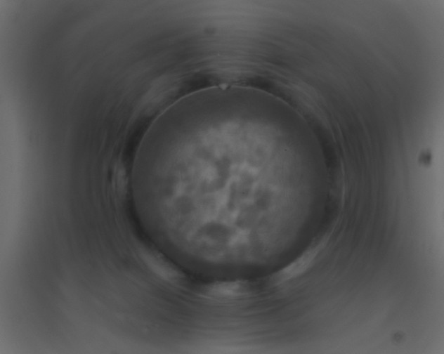 X0000094900086200712131440