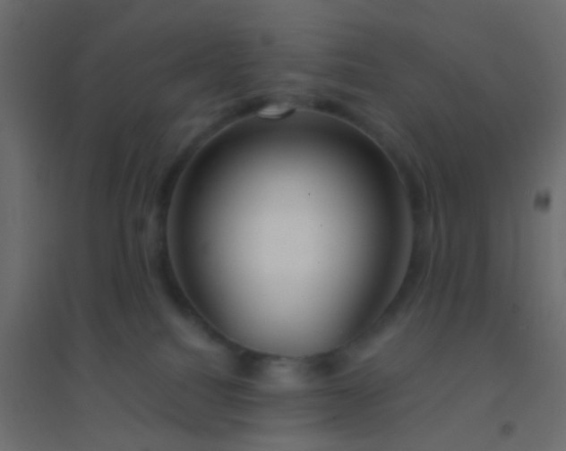 X0000094900088200712131440