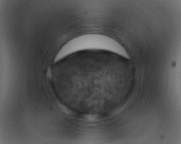 X0000094900089200712131440
