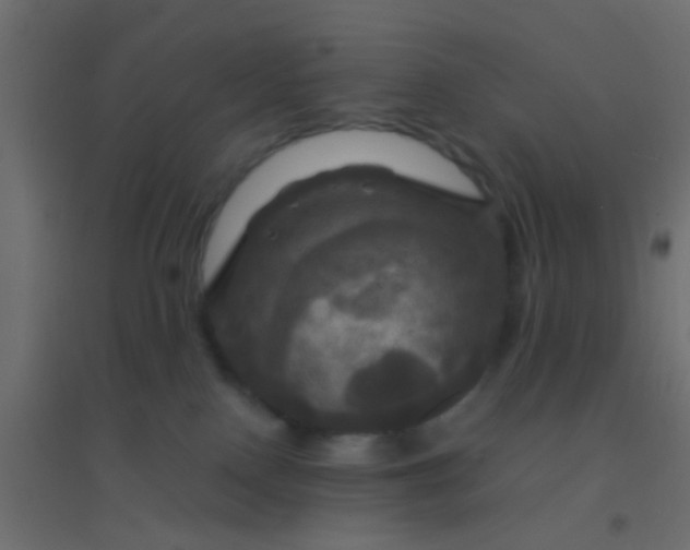 X0000094900090200712131440