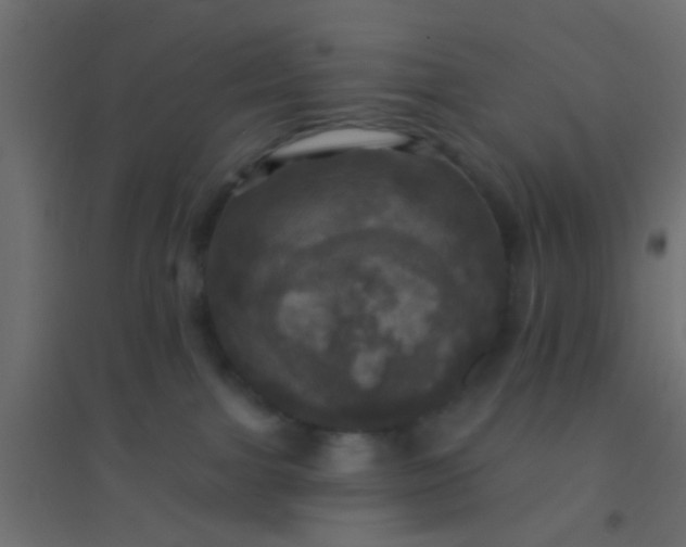 X0000094900091200712131440