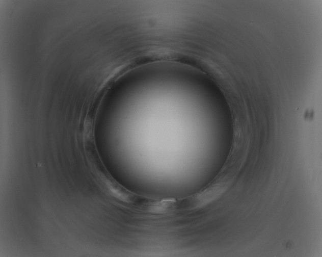 X0000094900096200712131440