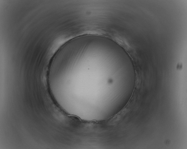 X0000094900098200712131439