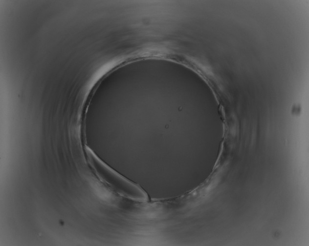 X0000094900100200712131439