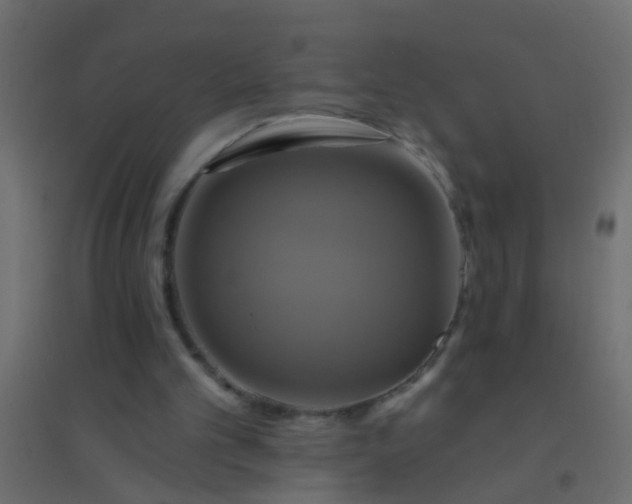 X0000094900101200712131439