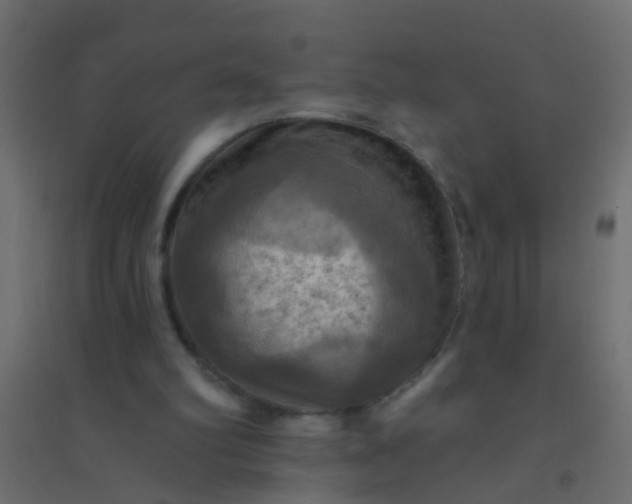 X0000094900102200712131439