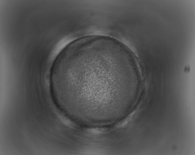 X0000094900103200712131439