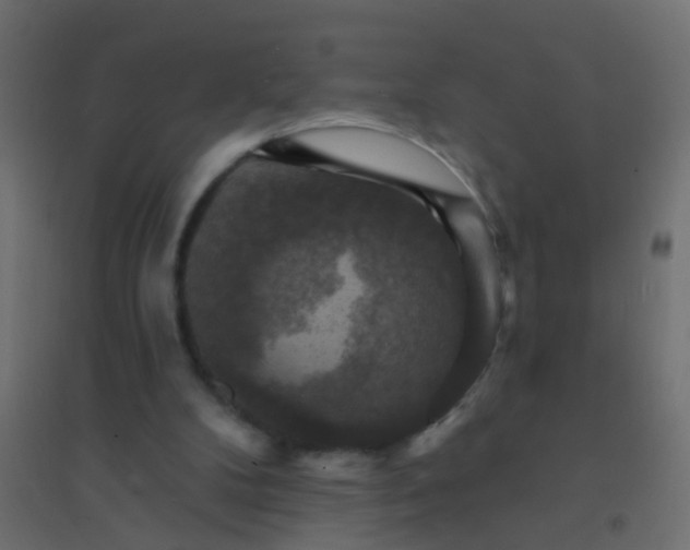 X0000094900104200712131439