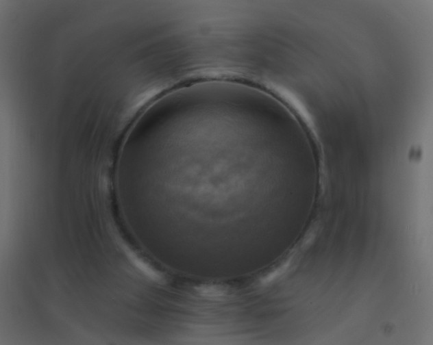 X0000094900105200712131439