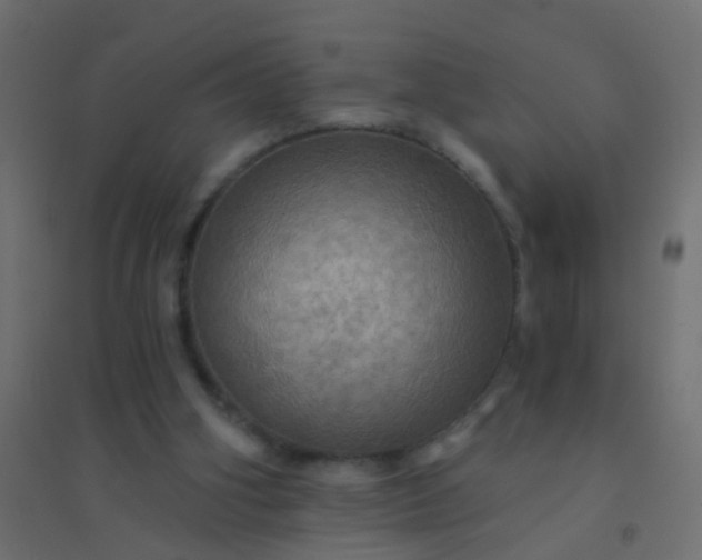 X0000094900106200712131439