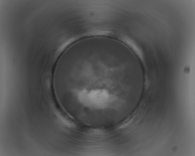X0000094900107200712131439