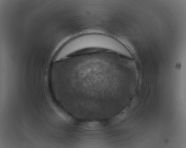X0000094900108200712131439