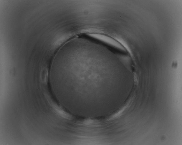 X0000094900109200712131439