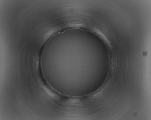 X0000094900110200712131439