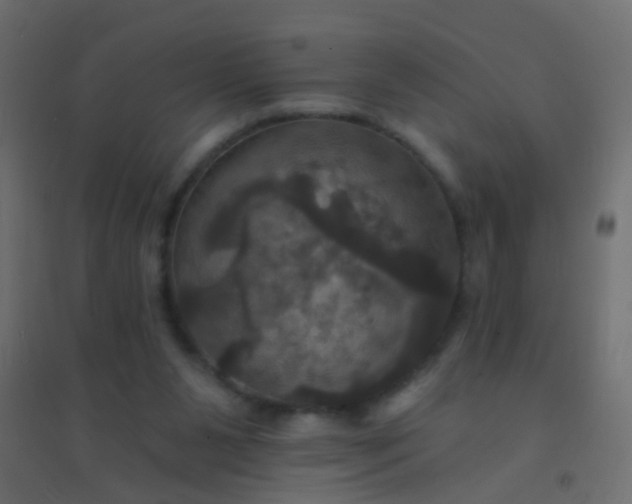 X0000094900111200712131439