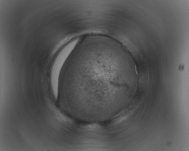 X0000094900112200712131439