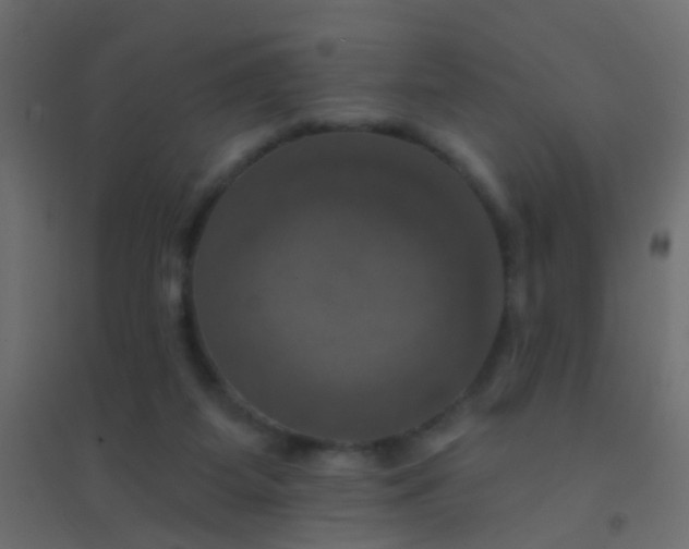 X0000094900115200712131439
