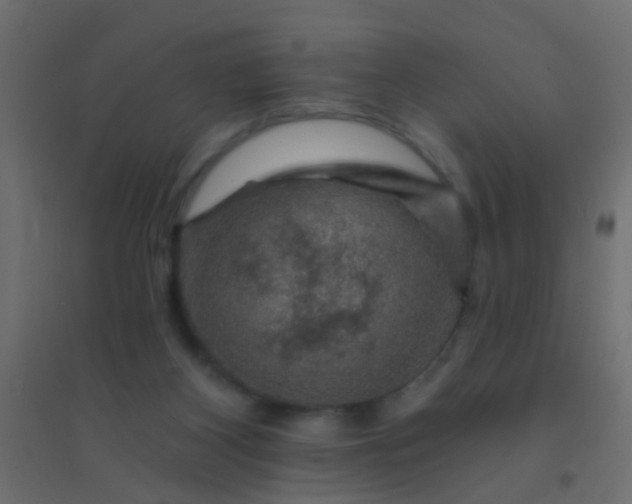 X0000094900116200712131439