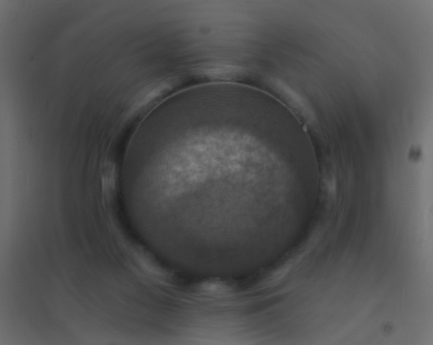 X0000094900117200712131439