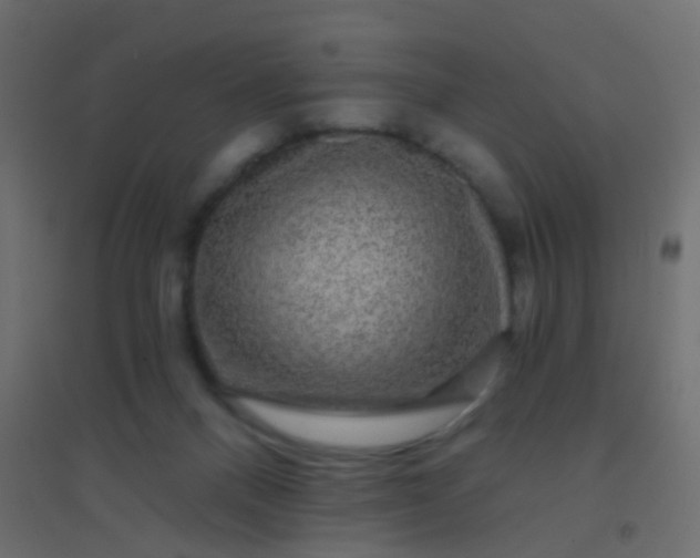 X0000094900120200712131439