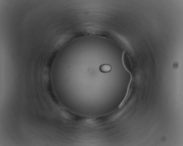 X0000094900121200712131439