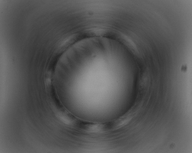 X0000094900122200712131439
