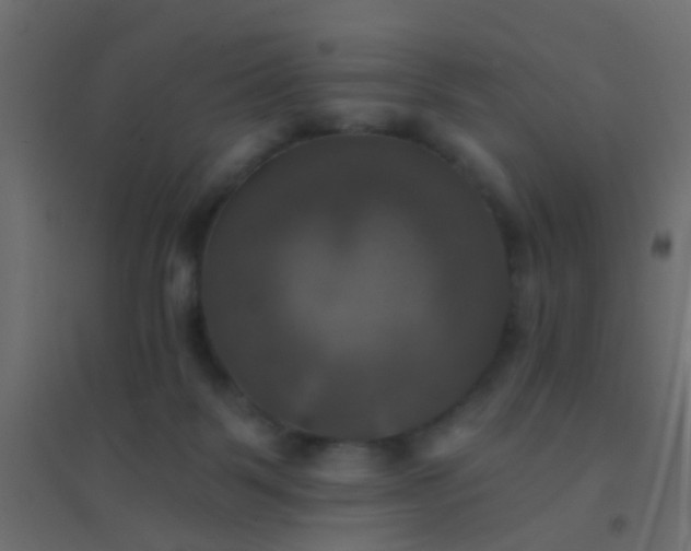 X0000094900123200712131439