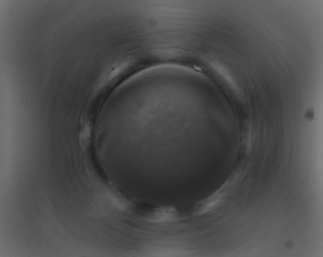 X0000094900124200712131439