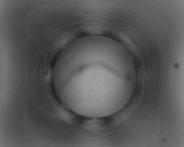 X0000094900125200712131439