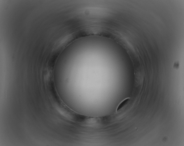 X0000094900126200712131439