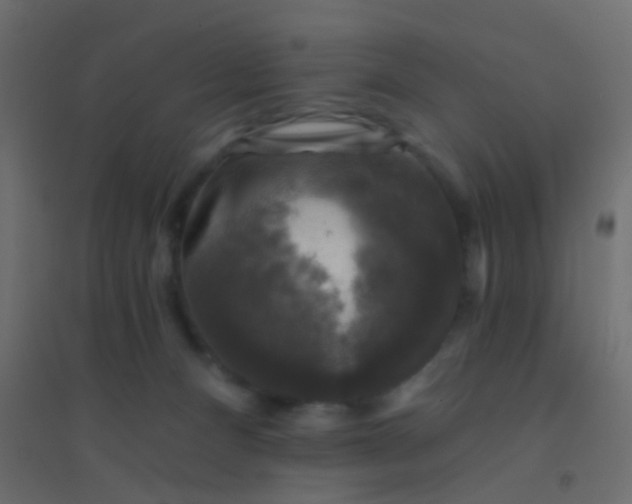 X0000094900128200712131439