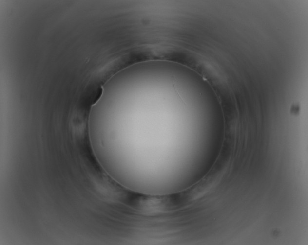 X0000094900129200712131439
