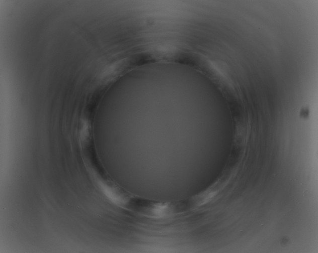 X0000094900130200712131439