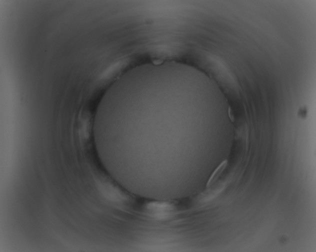 X0000094900133200712131439