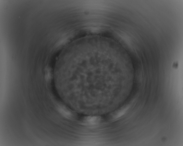 X0000094900135200712131439
