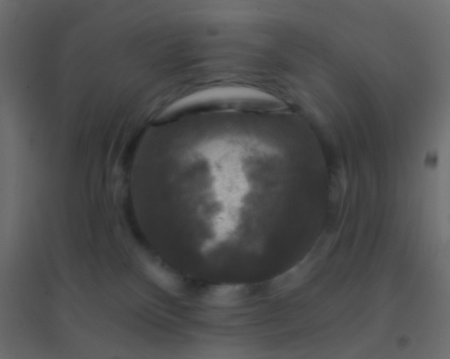 X0000094900136200712131439