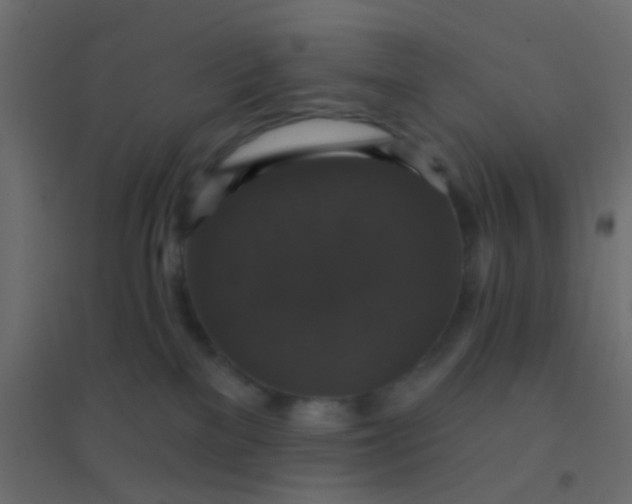 X0000094900137200712131439
