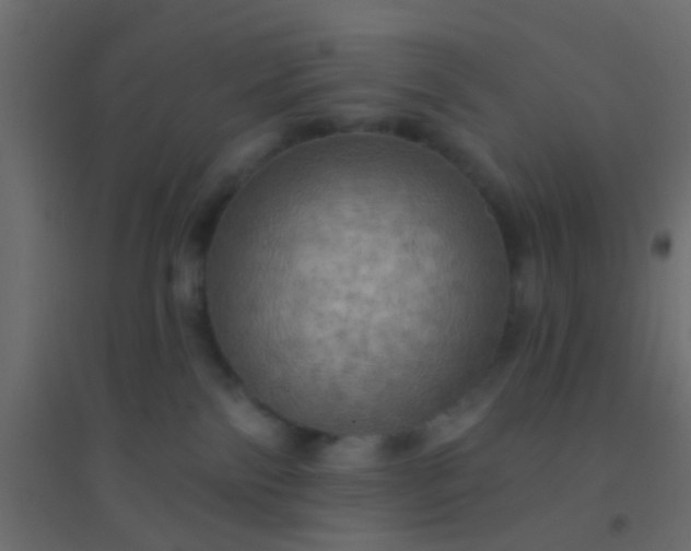 X0000094900138200712131439
