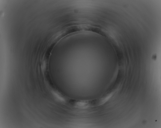 X0000094900139200712131439