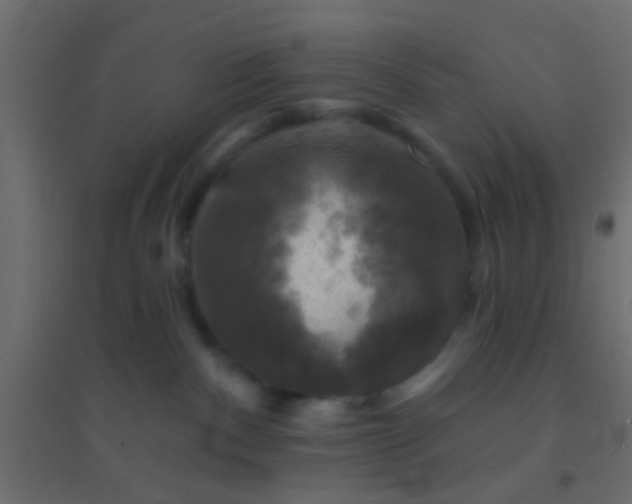 X0000094900140200712131439