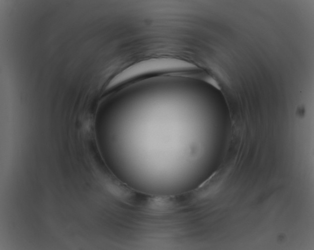 X0000094900141200712131439