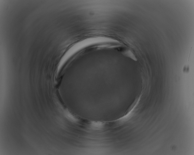 X0000094900144200712131439