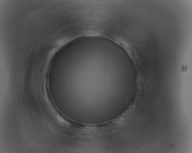 X0000094900145200712131438