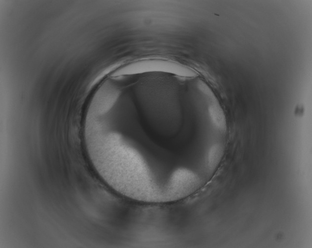 X0000094900146200712131438